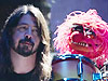 Dave Grohl Drummerworld