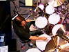 Shannon Forrest Drummerworld