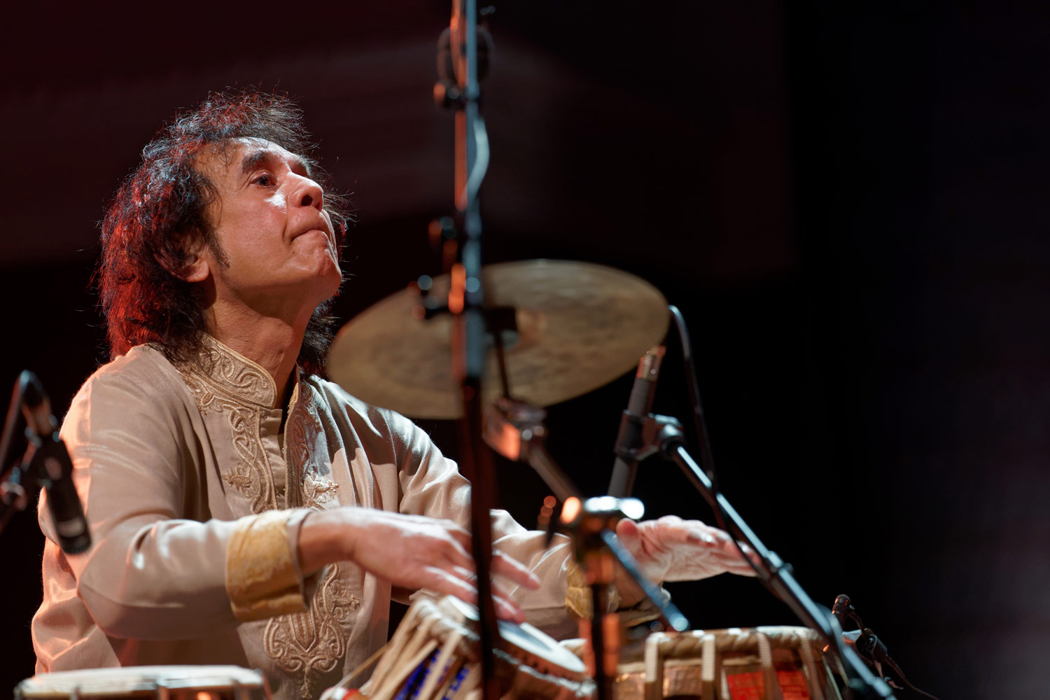 Zakir Hussain Hussein Drummerworld