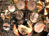 Matt Sorum Drummerworld